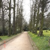 A pathway in Cawthorne Park.