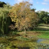 View from the garden at Hanbury Hall