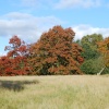 Calke Abbey Park