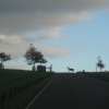 Woburn