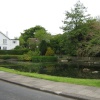 Duck Pond