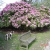 Cawthorne Park Barnsley