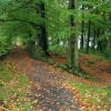 Mill Woods
