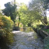 The River Wandle