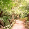 Groombridge Place Gardens,