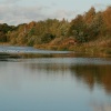 Waders Lake at the wetlands Centre