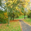 John Smith's Park