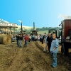 Berwick St. John Country Fair