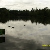 Hartsholme Country Park