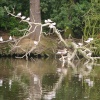 Hartsholme Country Park