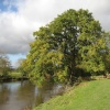 Dudmaston Hall