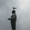 Captain Cook and friend