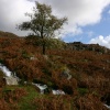 Crummock Water