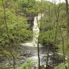 High Force - approaching the falls