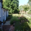 New Alresford garden