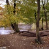 My Favourite Place