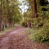 The River Path