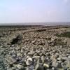 Foreshore at Kilve