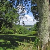 The River Fal from Trelissick Gardens