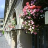 The Piece Hall