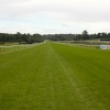 Lingfield Race Course