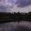 The Marina