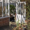 The Greenhouse at Fenton House garden,Hampstead