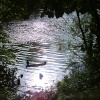 Fishing Hole