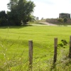 Rye