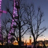 The London Eye and Big Ben