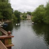 View From Marigolds