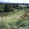 Pitty Beck