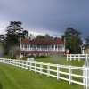 At the racecourse