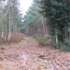 Around Silchester