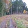 Around Silchester
