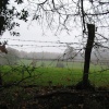 Around Silchester (in the rain)