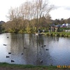 Boating Lake