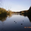 Fishing Lake