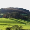 Bracken Hill