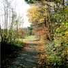 Woodland Walk afternoon.