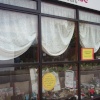 Cat in charity shop window Bishop's Waltham
