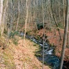 A walk through Mynydd Du Forest near Abergavenny