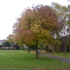 Broadgate Park Beeston