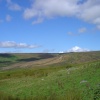 Near High Shaw