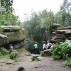 Brimham Rocks Country Park