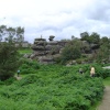 Brimham Rocks Country Park