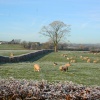 Parsonage Farm