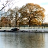 The ice covered lake at Nidd.