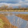 Cossington Meadows