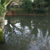 Basingstoke Canal, Up Nately - reflections and Ice